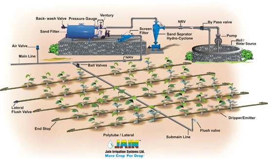 drip-irrigation-system-arrangement1.jpg