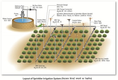 Sprinkler-irrgation.jpg