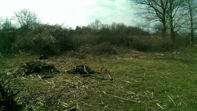 IMAG0759.jpg