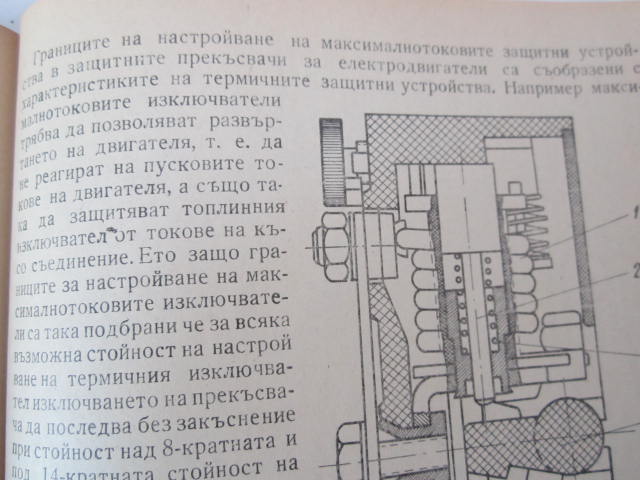 Picture 370.jpg