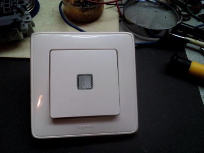 Legrand_1.jpg