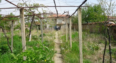 DSC04152a.jpg