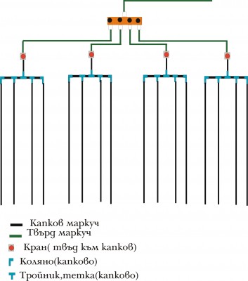 Graphic1.jpg