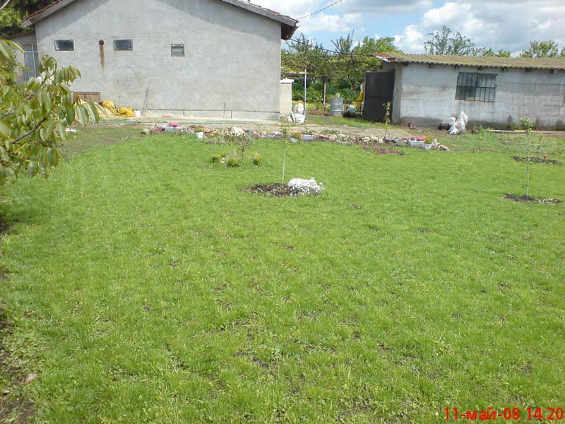 DSC00082.JPG