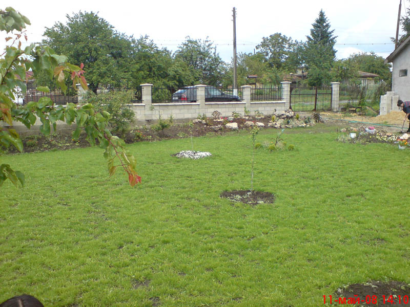 DSC00064.JPG