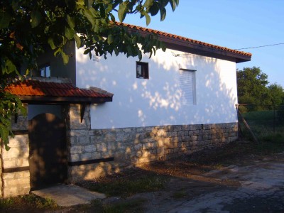S5300883.jpg