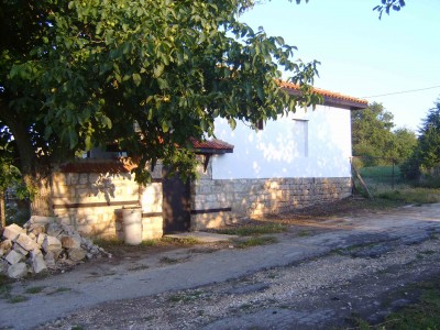 S5300884.jpg
