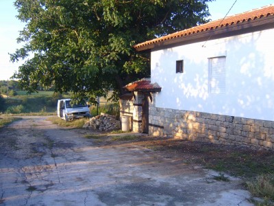 S5300887.jpg