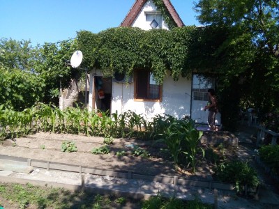 хтн 019.jpg