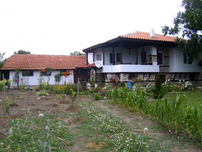 S5300904.jpg