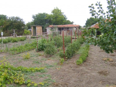 S5300906.jpg
