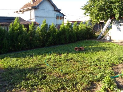 20150704_072258т.jpg