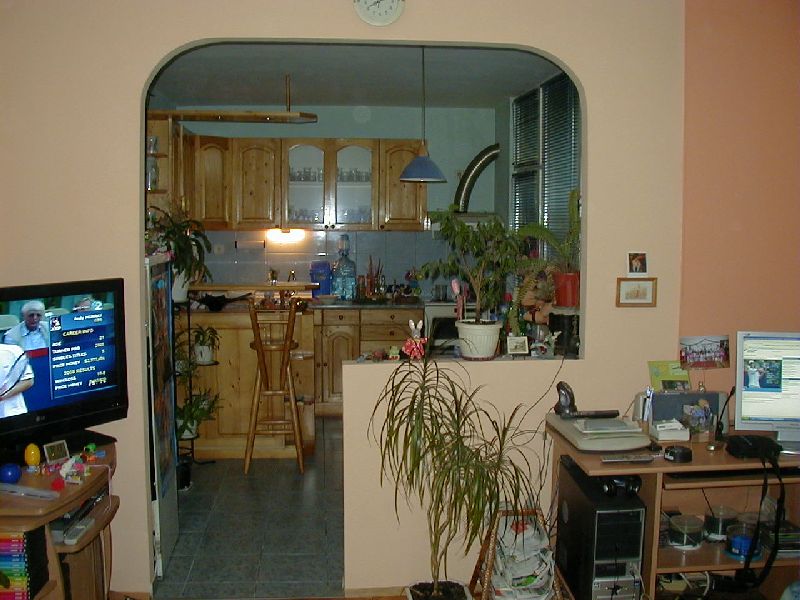 P1010038.jpg