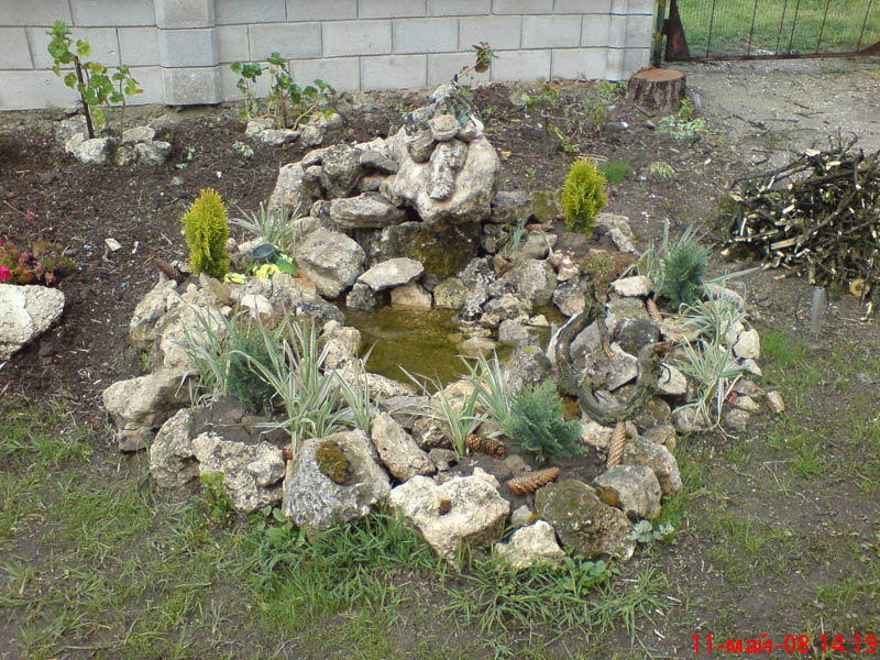 DSC00081.JPG