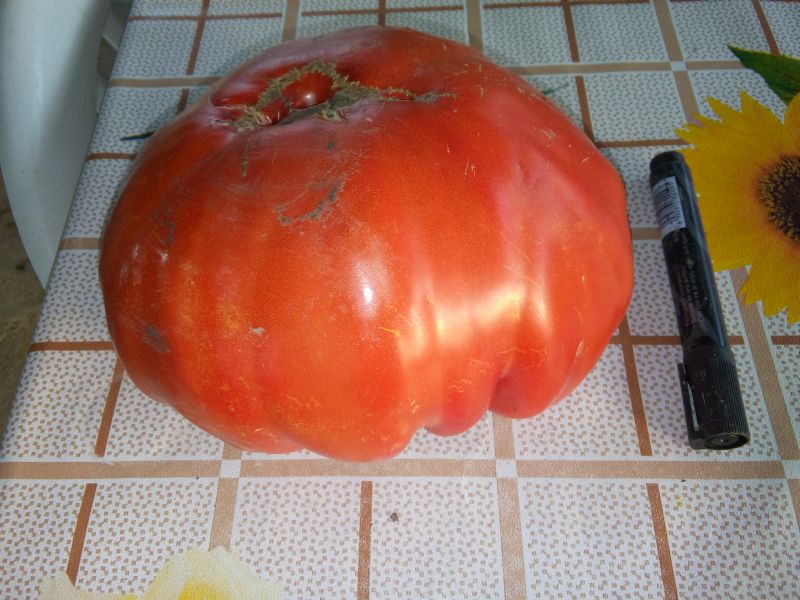 20150807_065227.jpg