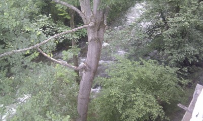 IMAG0233.jpg