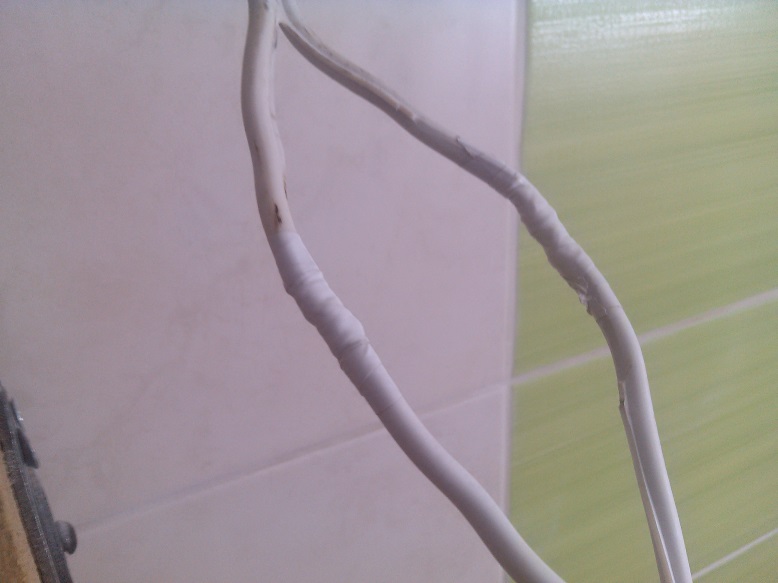 P6.jpg