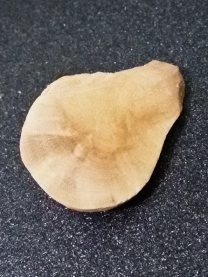 20150907_172315.png