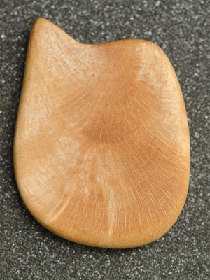 D70_6768a.jpg