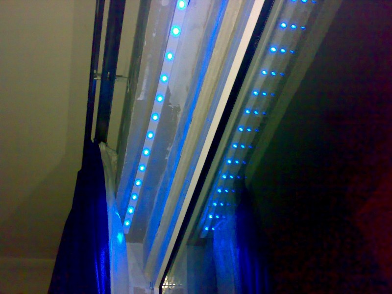 29052008483-.jpg